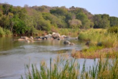 Olifants river from lodge