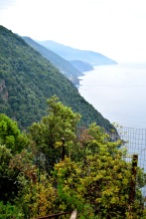 Trail to Vernazza